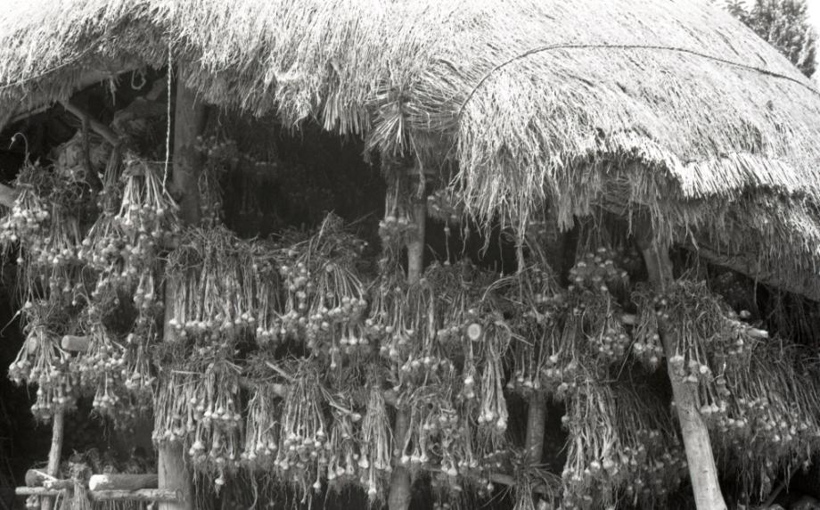 김운기 컬렉션이미지