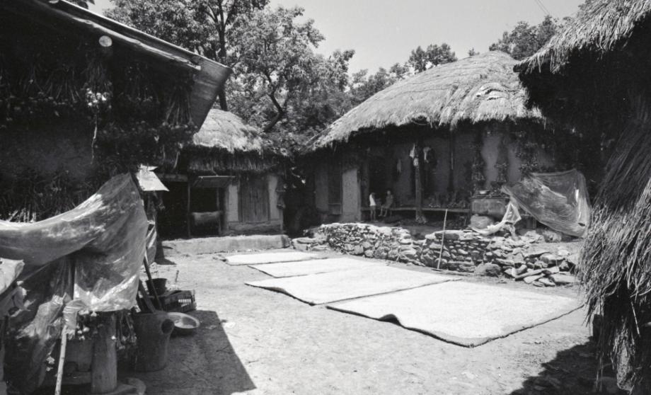 김운기 컬렉션이미지