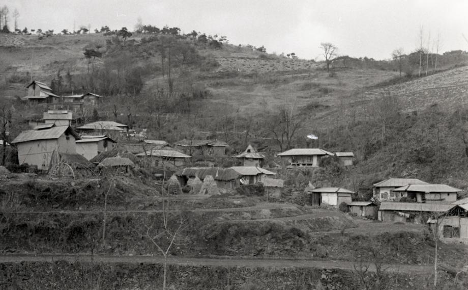 김운기 컬렉션이미지