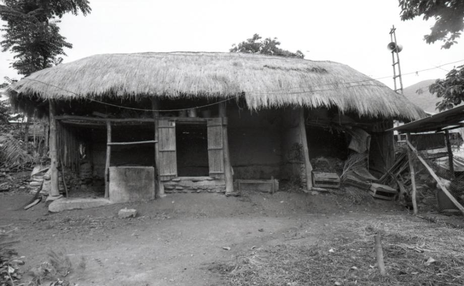 김운기 컬렉션이미지