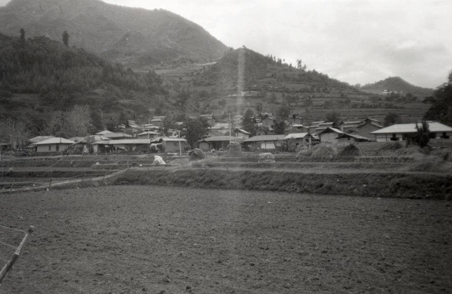 김운기 컬렉션이미지