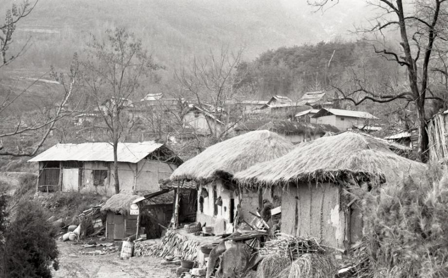 김운기 컬렉션이미지