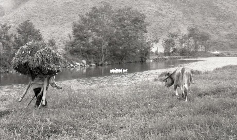 김운기 컬렉션이미지