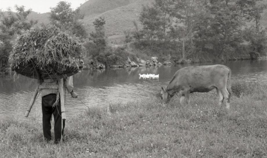 김운기 컬렉션이미지