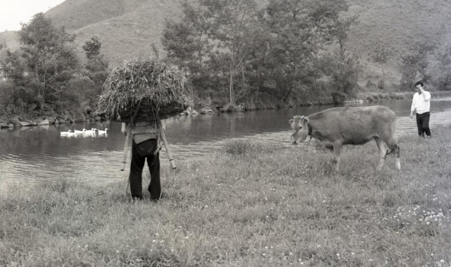 김운기 컬렉션이미지