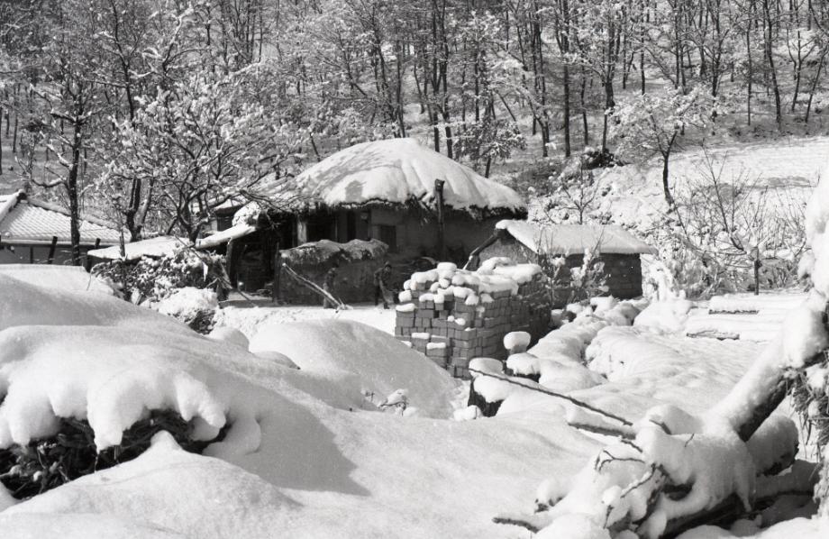 김운기 컬렉션이미지