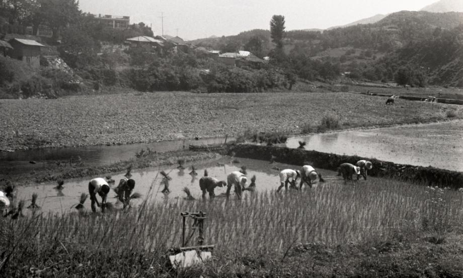 김운기 컬렉션이미지