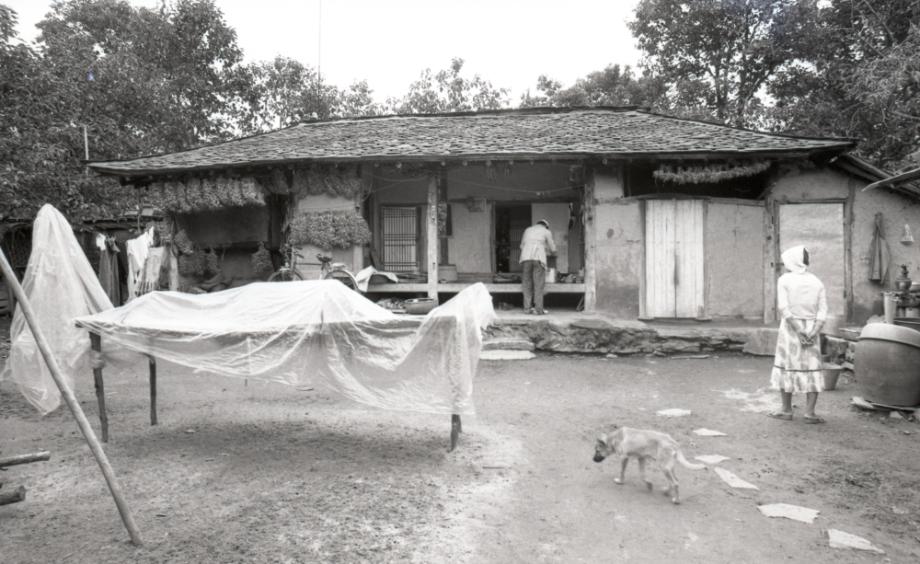 김운기 컬렉션이미지