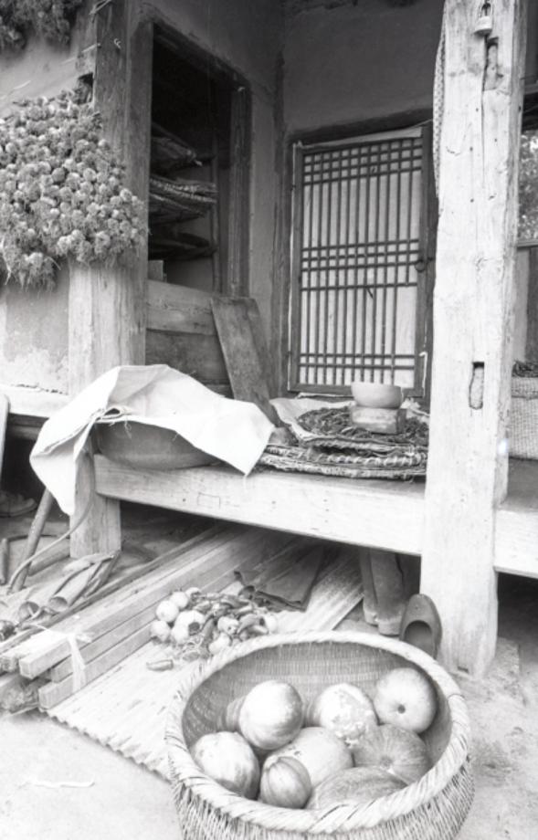 김운기 컬렉션이미지