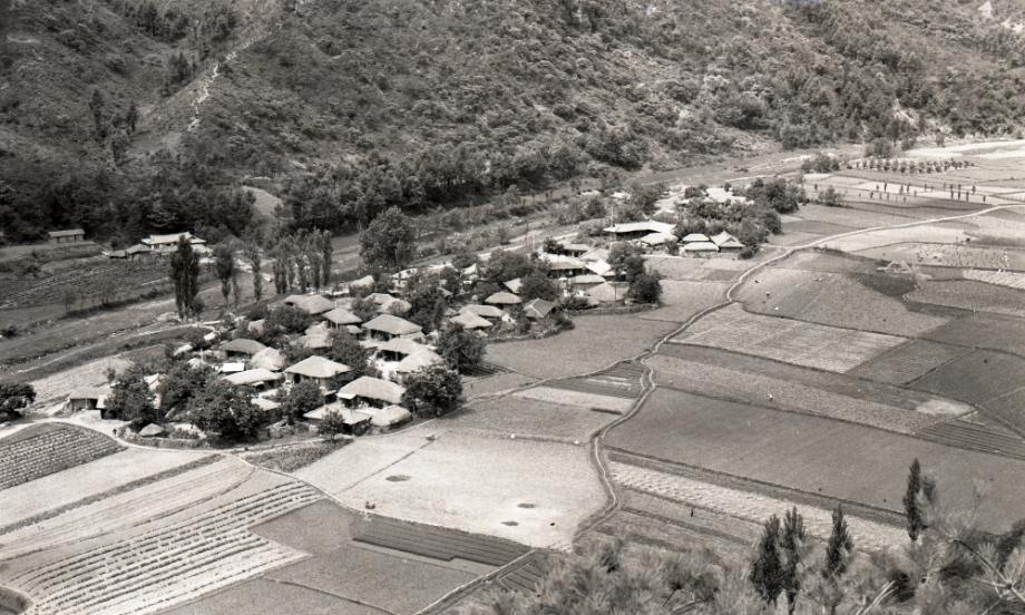 김운기 컬렉션이미지