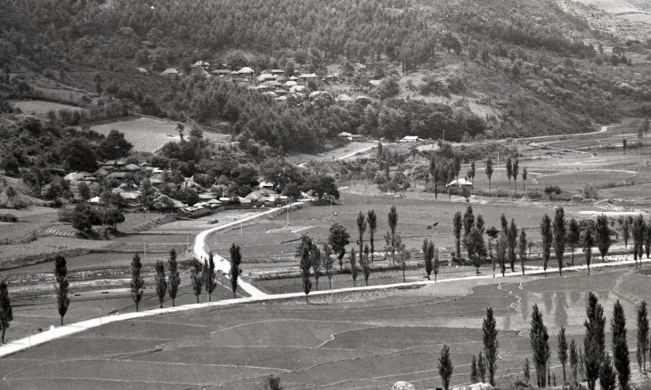 김운기 컬렉션이미지