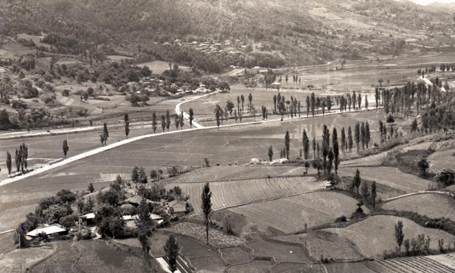 김운기 컬렉션이미지