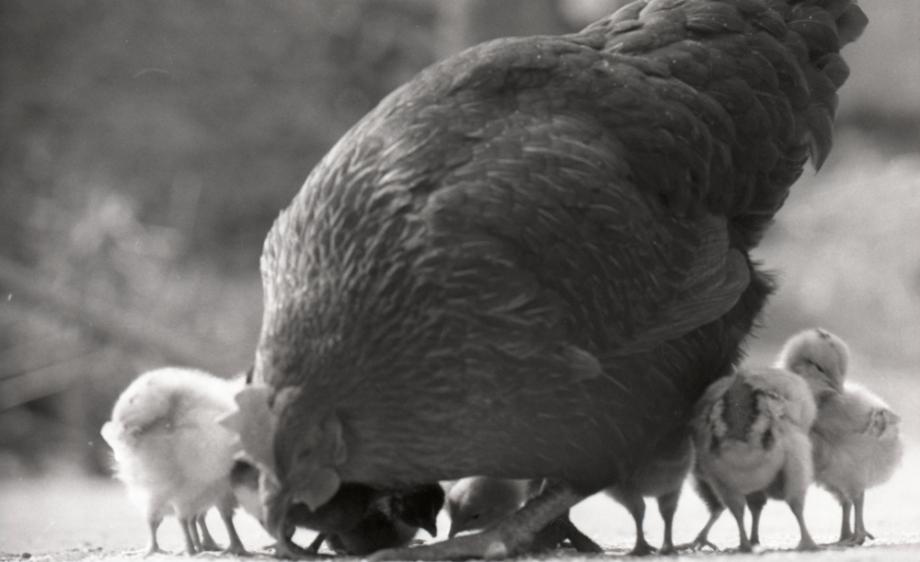 김운기 컬렉션이미지