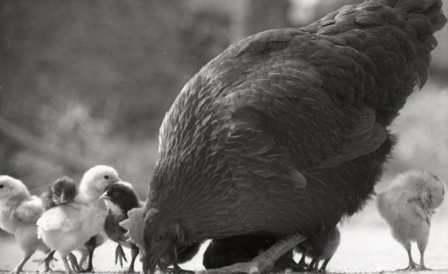 김운기 컬렉션이미지