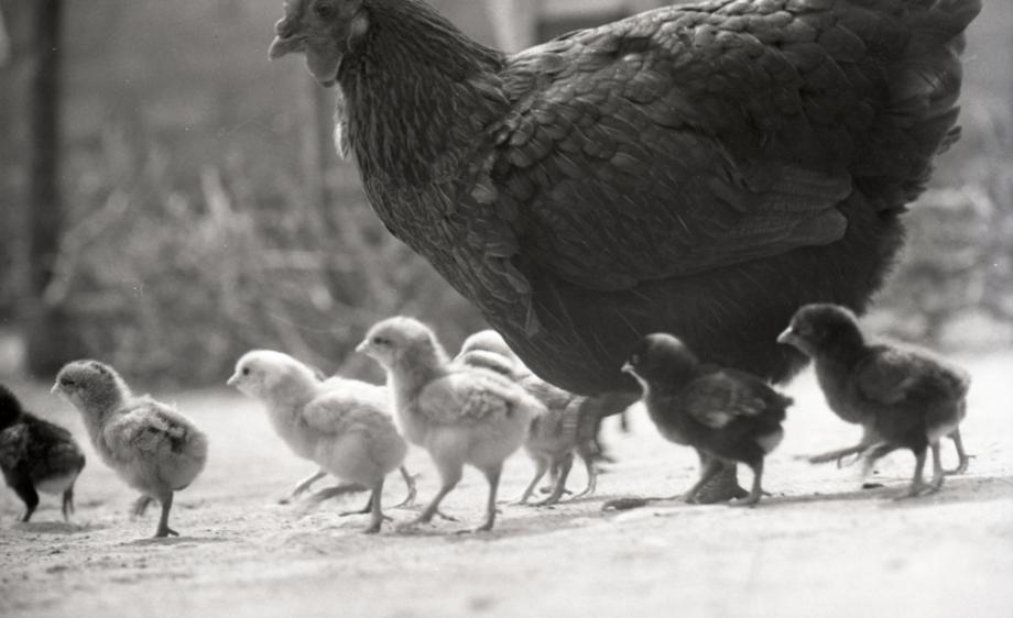 김운기 컬렉션이미지