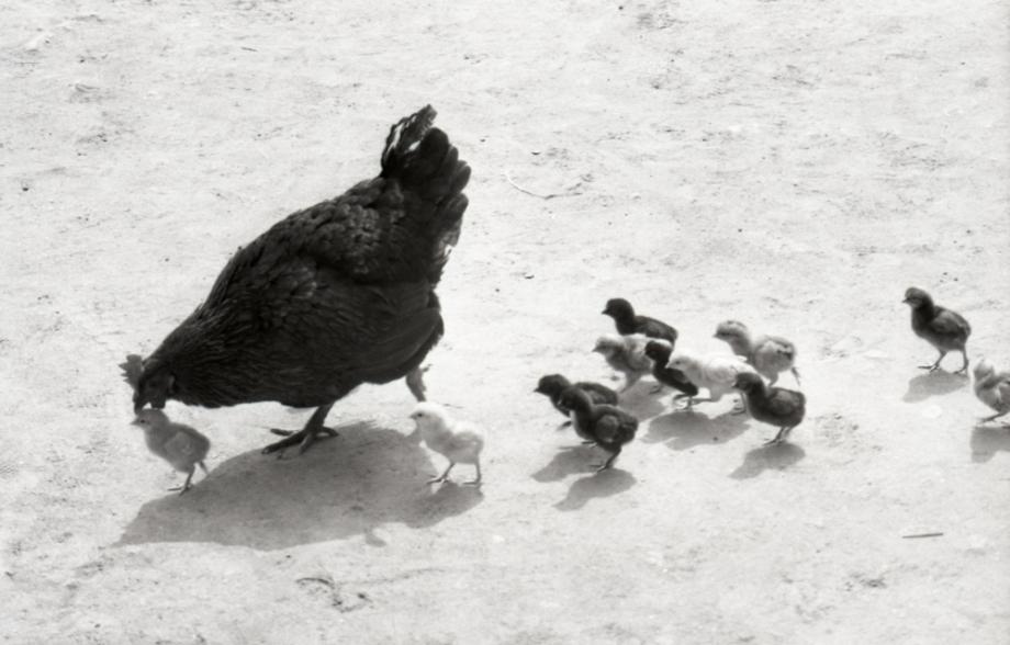 김운기 컬렉션이미지