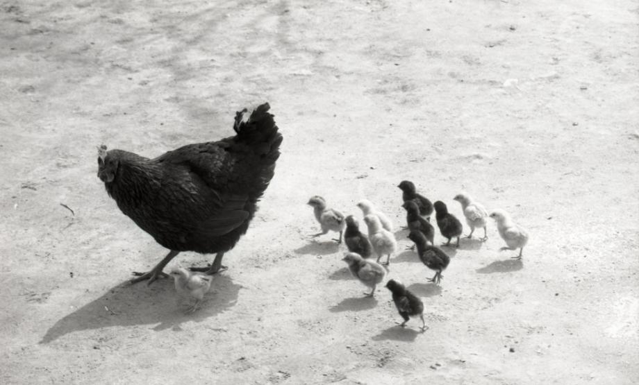 김운기 컬렉션이미지