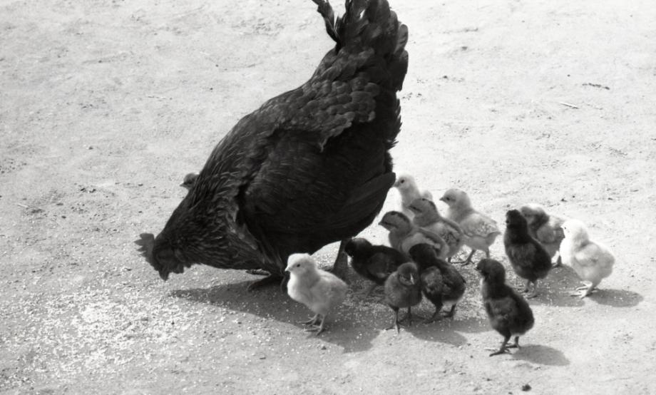 김운기 컬렉션이미지