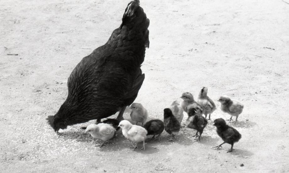 김운기 컬렉션이미지