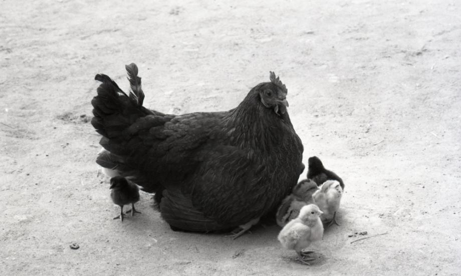 김운기 컬렉션이미지