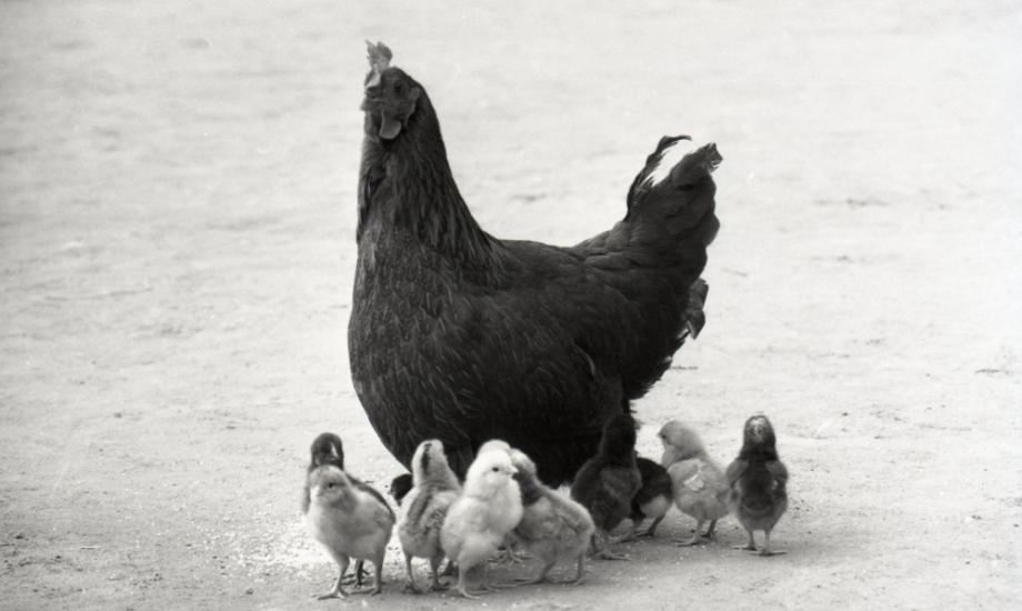 김운기 컬렉션이미지