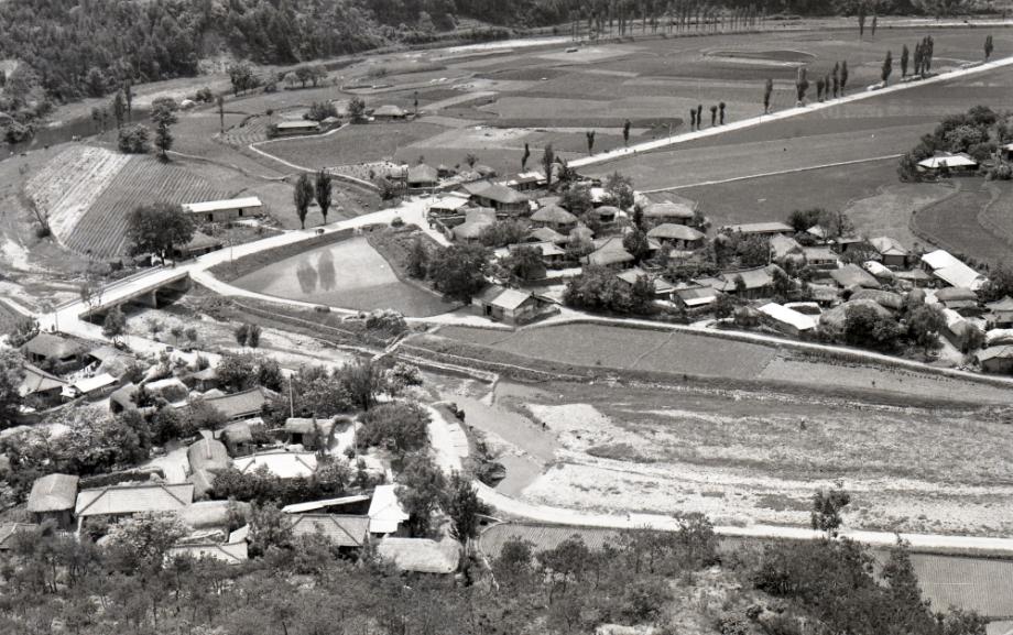 김운기 컬렉션이미지