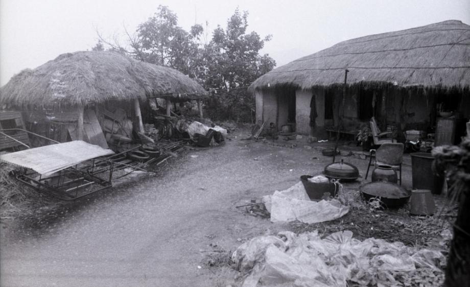 김운기 컬렉션이미지