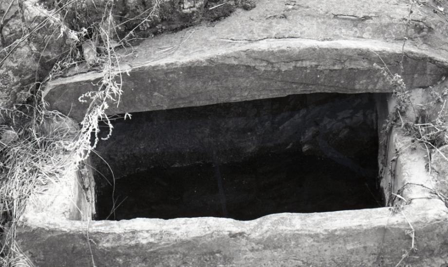 김운기 컬렉션이미지