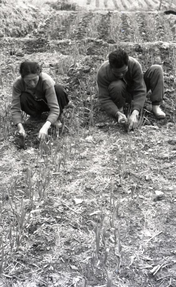 김운기 컬렉션이미지