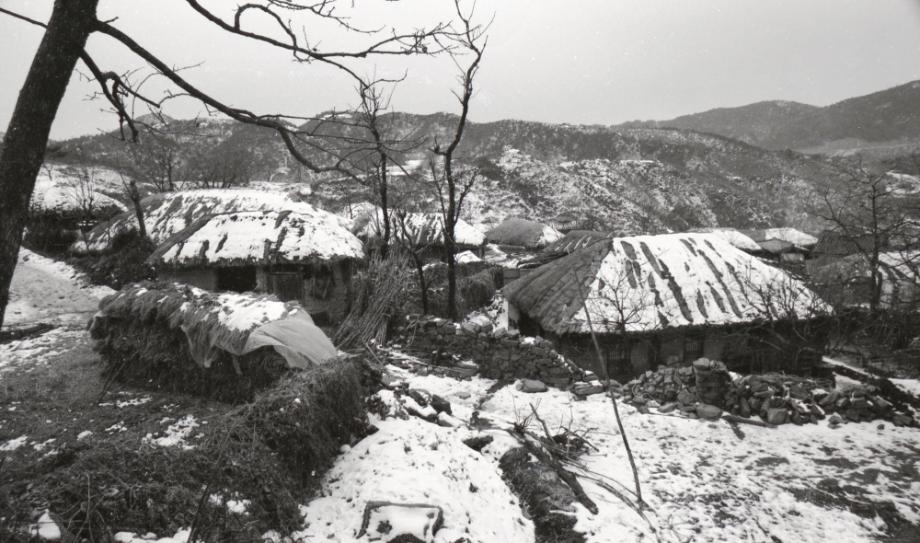 김운기 컬렉션이미지