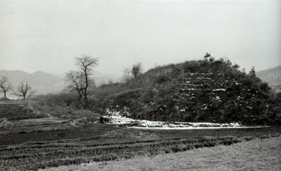 김운기 컬렉션이미지