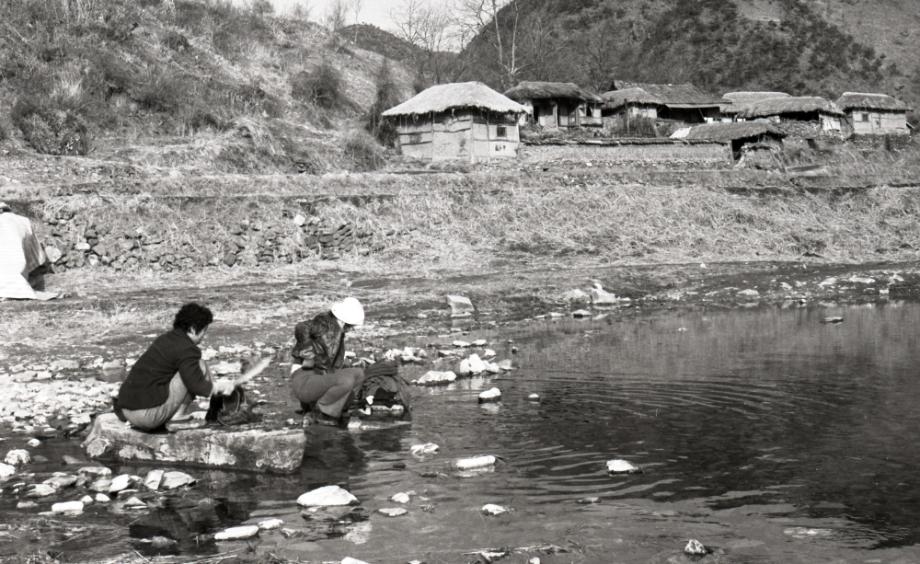 김운기 컬렉션이미지