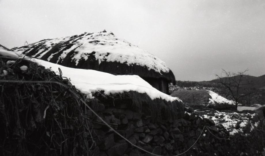김운기 컬렉션이미지