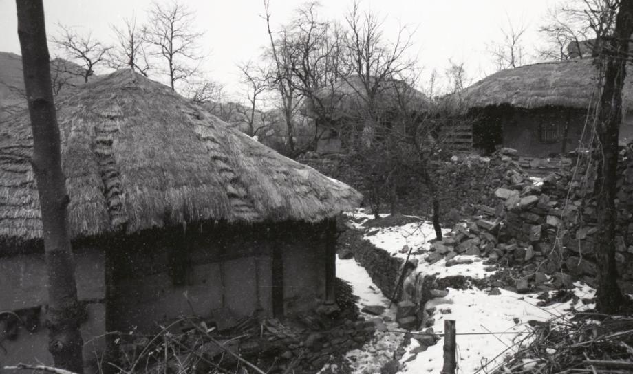 김운기 컬렉션이미지