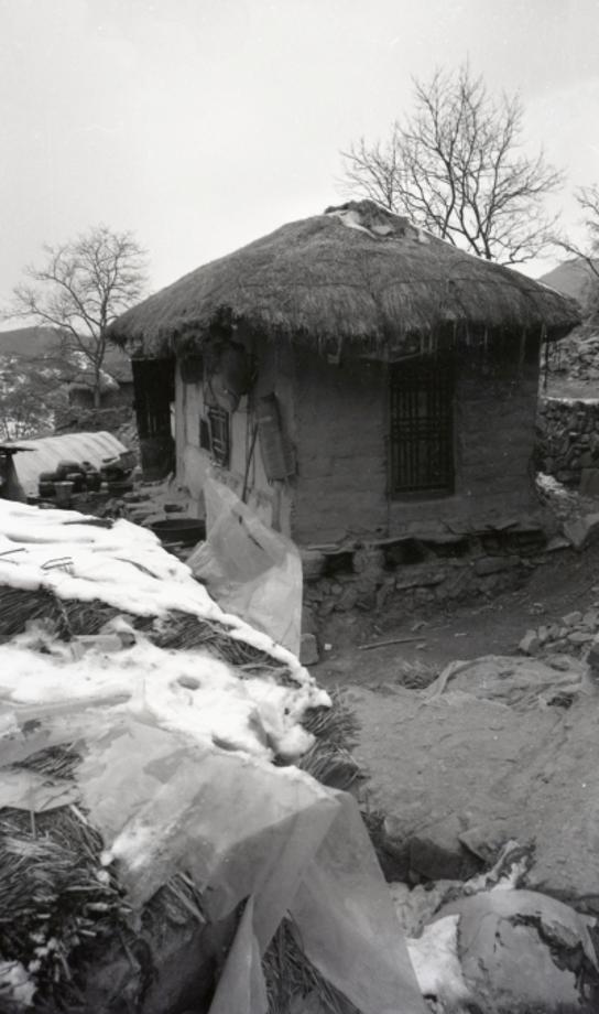 김운기 컬렉션이미지