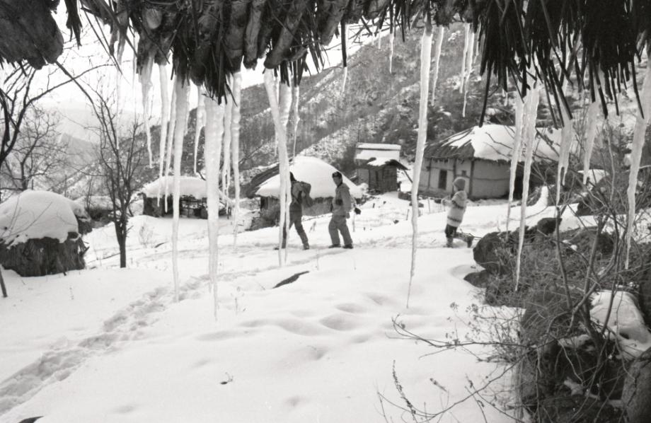 김운기 컬렉션이미지