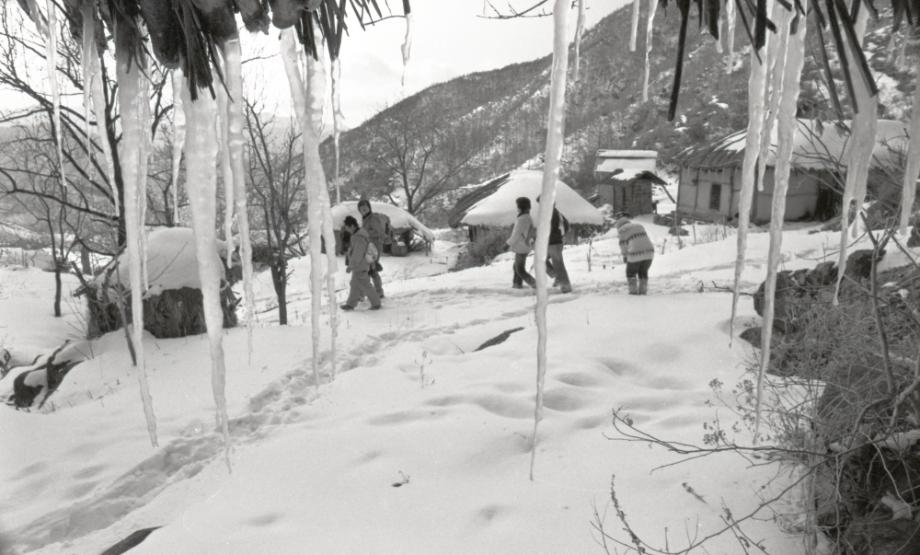 김운기 컬렉션이미지