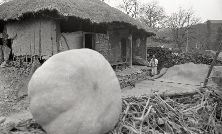 김운기 컬렉션이미지