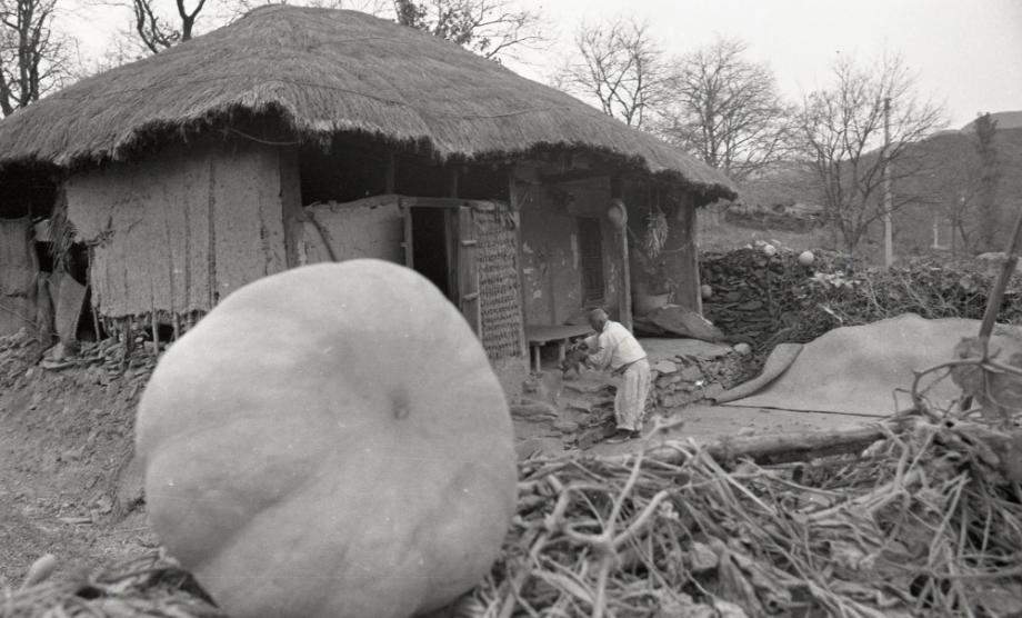 김운기 컬렉션이미지