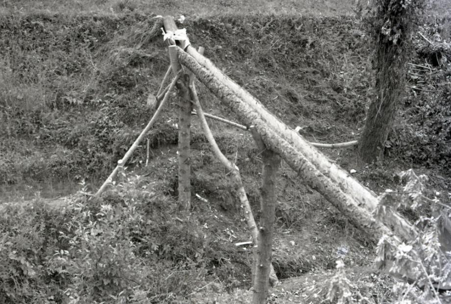 김운기 컬렉션이미지