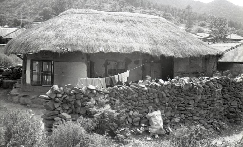 김운기 컬렉션이미지