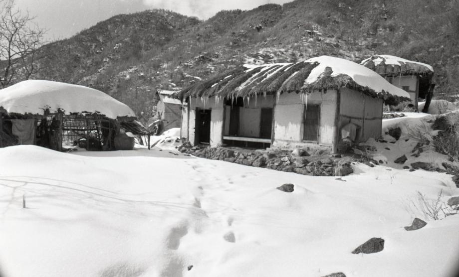 김운기 컬렉션이미지