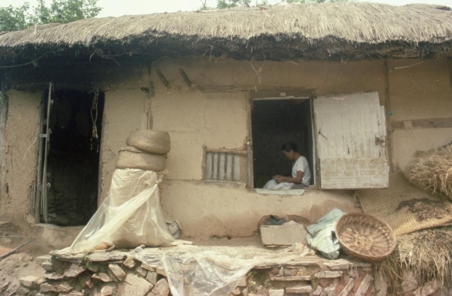 김운기 컬렉션이미지