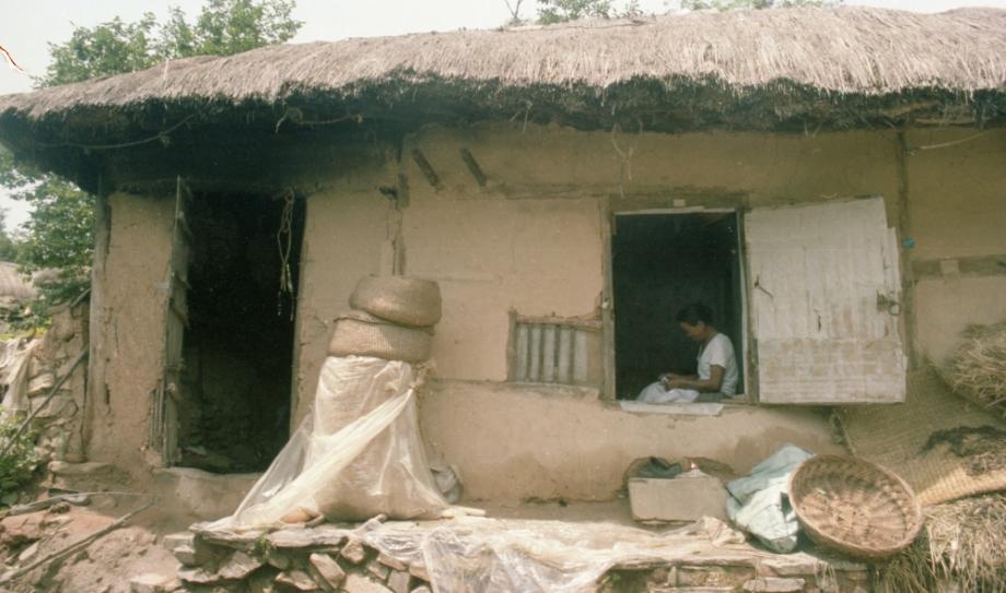 김운기 컬렉션이미지