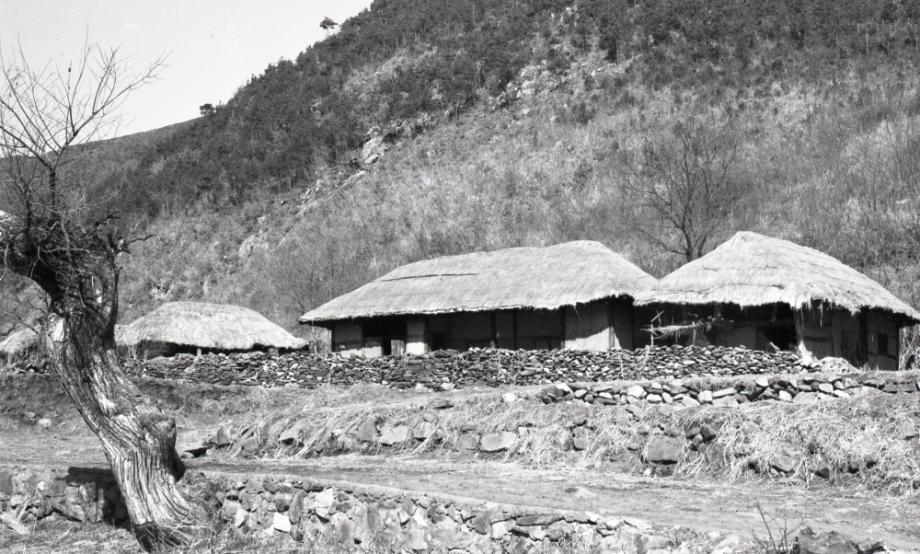 김운기 컬렉션이미지