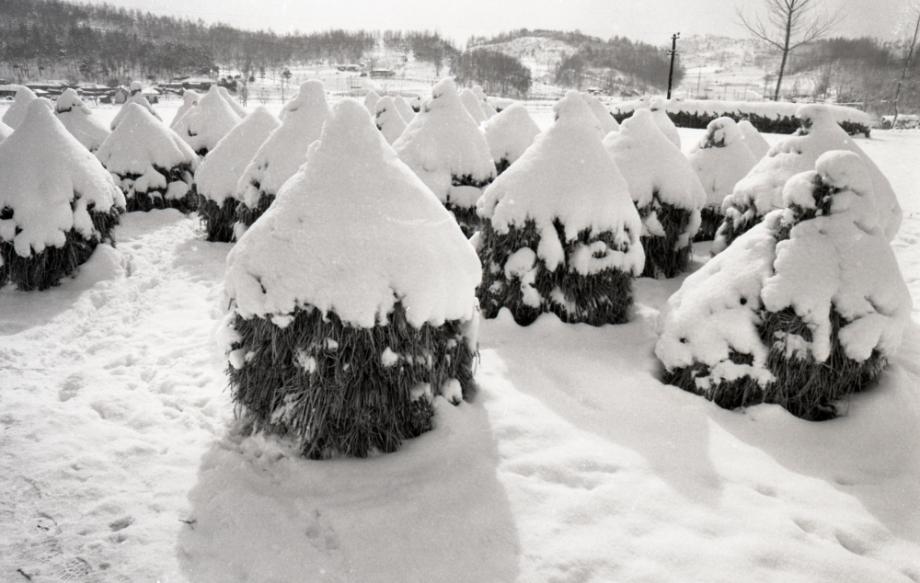 김운기 컬렉션이미지