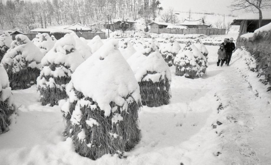 김운기 컬렉션이미지