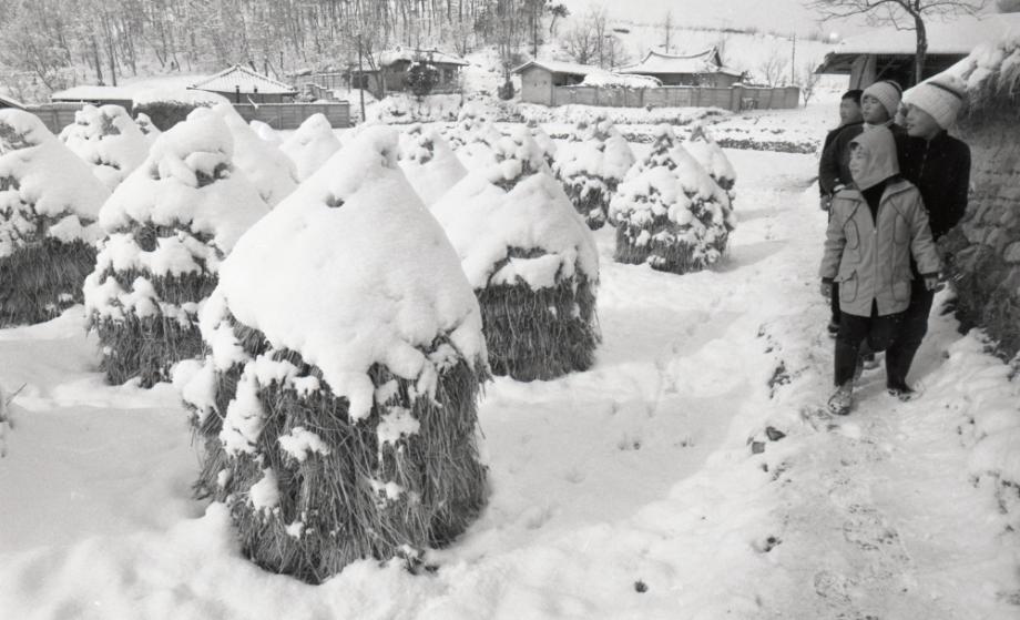 김운기 컬렉션이미지