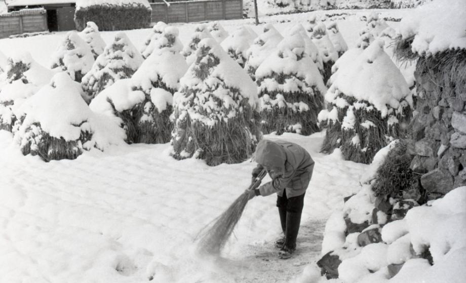 김운기 컬렉션이미지