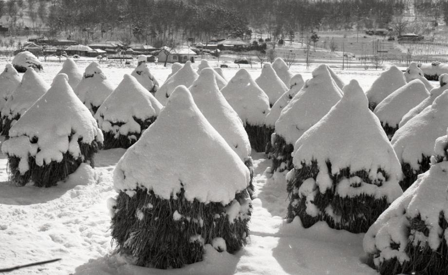 김운기 컬렉션이미지